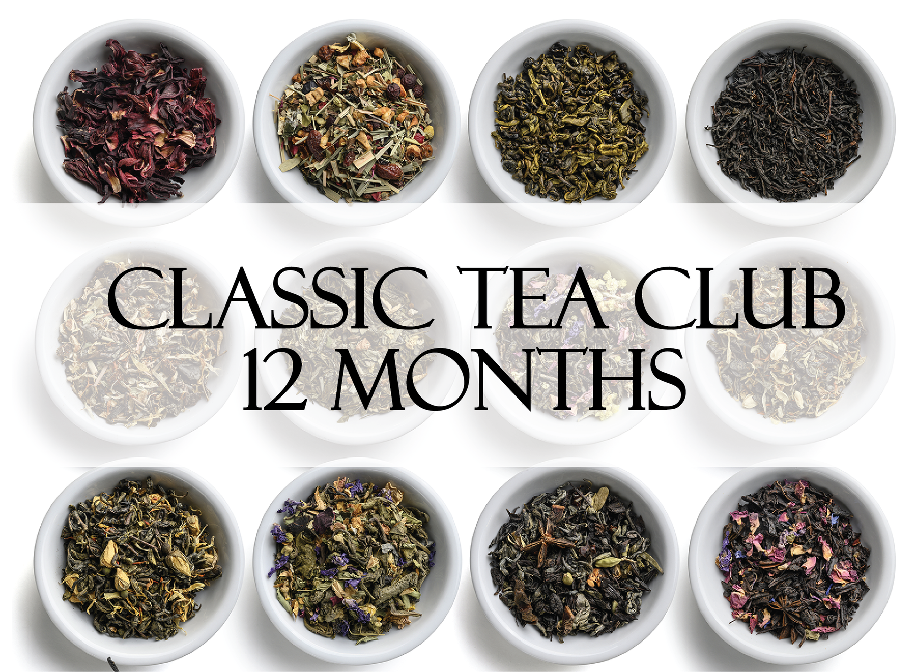 Tea of the Month Club - Classic - 12 Months