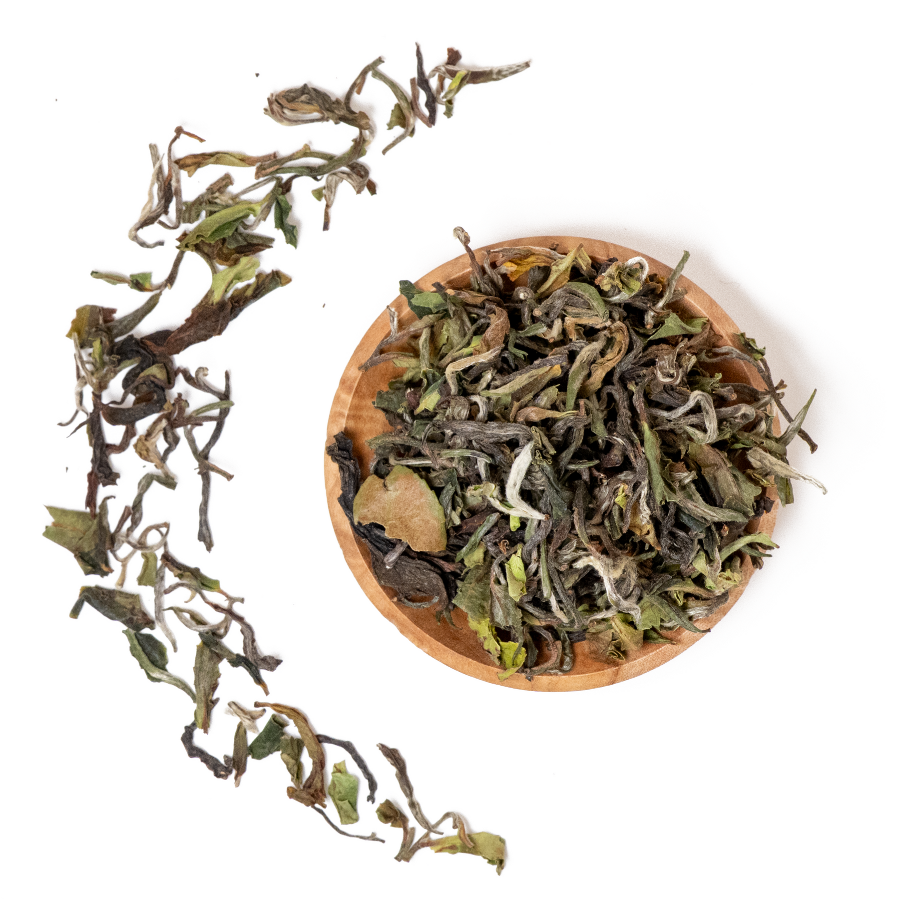 2026 Hand Rolled Spring Beauty – First Flush Darjeeling